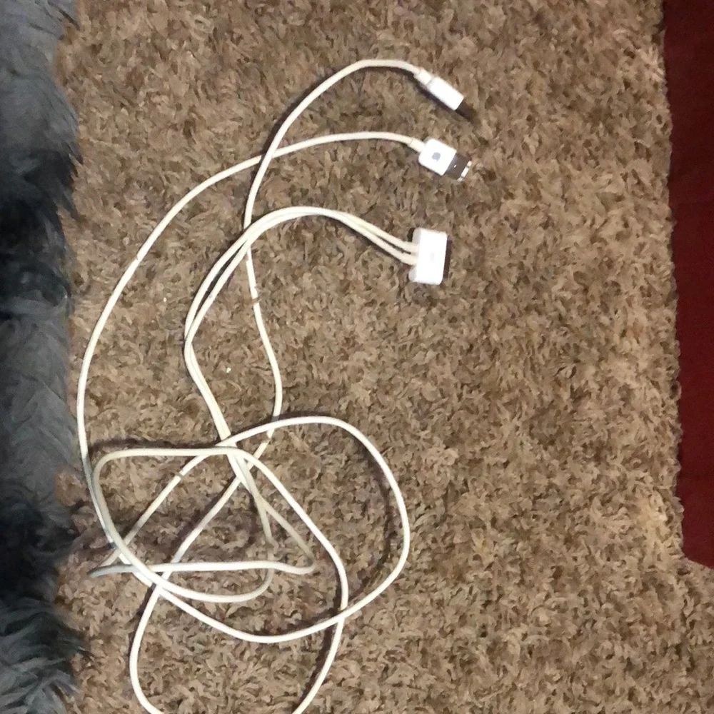 Apple White 30-pin to USB Charging Cable
